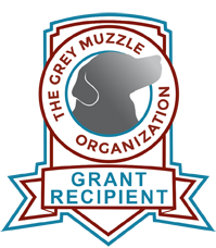 Grey Muzzle Grant Recipient